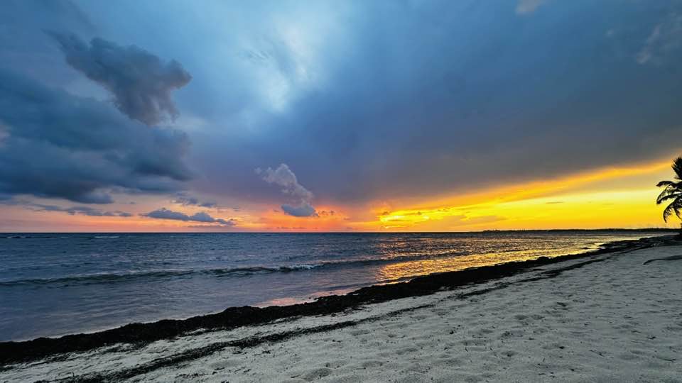 The Rise of Fund Operating Systems in Private Markets